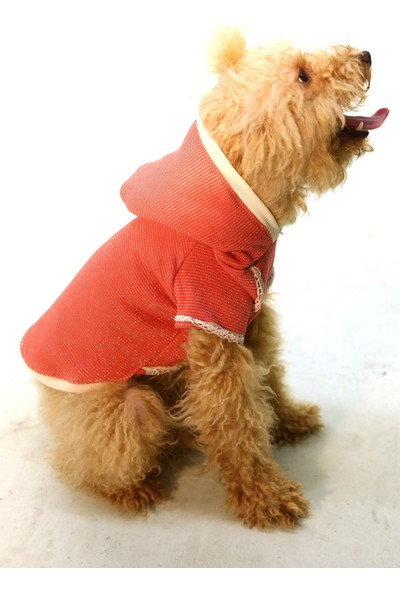 Chili Eva Peluş Kapşonlu Köpek Giysisi