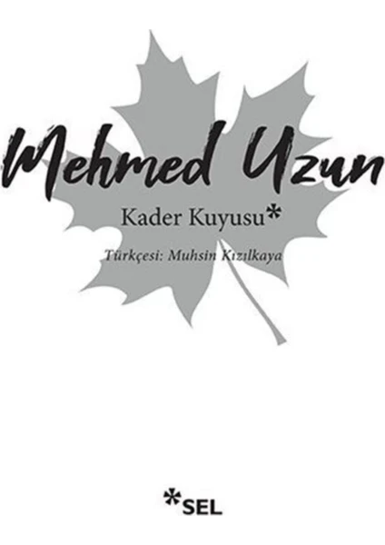 Kader Kuyusu - Mehmed Uzun