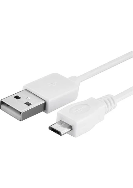 PaLeon 3.1A Micro USB Şarj ve Data Kablosu 1 mt