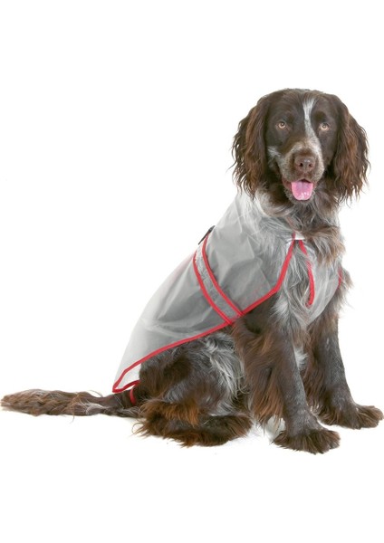 Köpekler Için Şeffaf Yağmurluk 50 cm Siyah