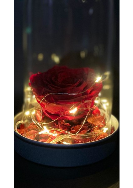 LED Işıklı Solmayan Gül Teraryum