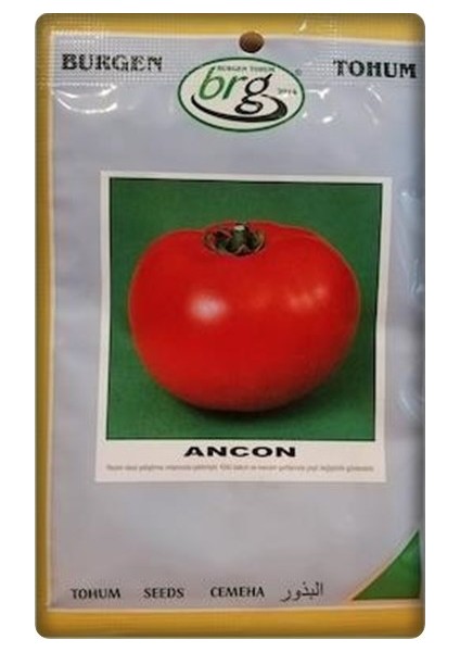 Ancon Domates Tohumu 10 gr Iri Domates-Bursa Tohum