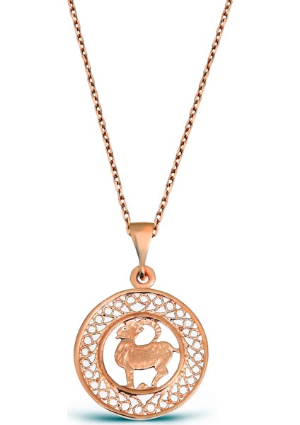 Oğlak Burcu Gümüş Madalyon Kolye fırsatları