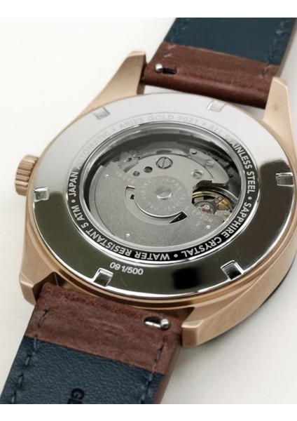 Arıes Gold G 9021 Rgbk-Br Erkek Kol Saati modelleri