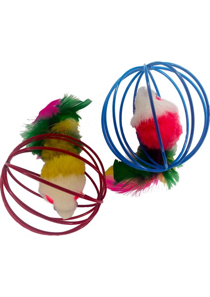 Vitalicat + Çember Oyuncak + Steril Kuzu + Tavuk + Karışık Etli Gurme Ans Kedi Konservesi 2+2+1+1 indirimleri