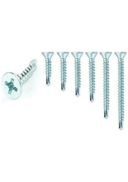 Akıllı Vida Çeşitleri 100 'lü 4,2x32 mm