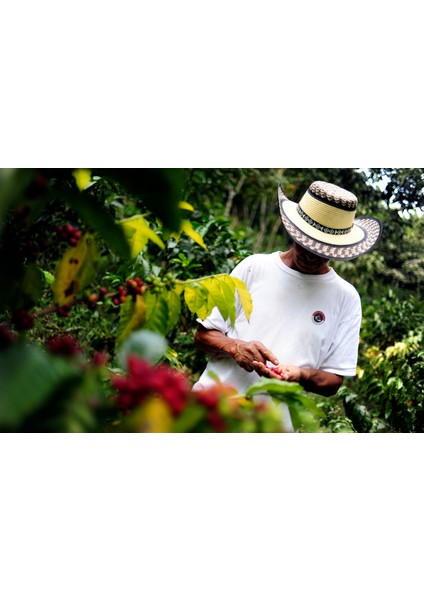 Horeca Blend Espresso 1 kg Çekirdek Taze Kavrulmuş