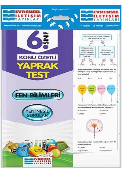 6.Sınıf Fen Bilimleri Yaprak Test