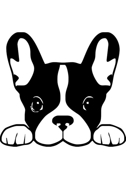 Köpek Figürlü Araç Sticker