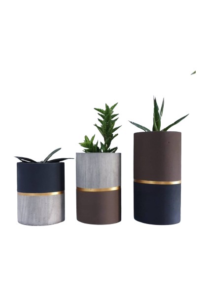 Hobi Beton Çikolata Kahvesi Saksı Siyah 3'lü Set Kaktüslü