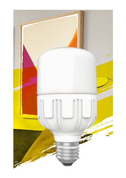 Artı Led 48W Torch LED Ampul 2 Adet