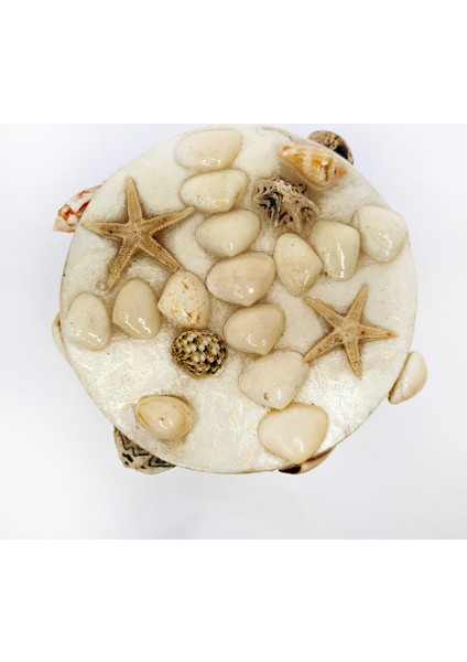 Büyük Sedef Kutu-Yuvarlak-Karışık Kabuklu fiyatları