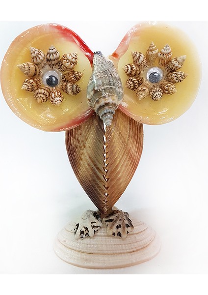 Baykuş Biblo-Brown Cochles Kabuklu