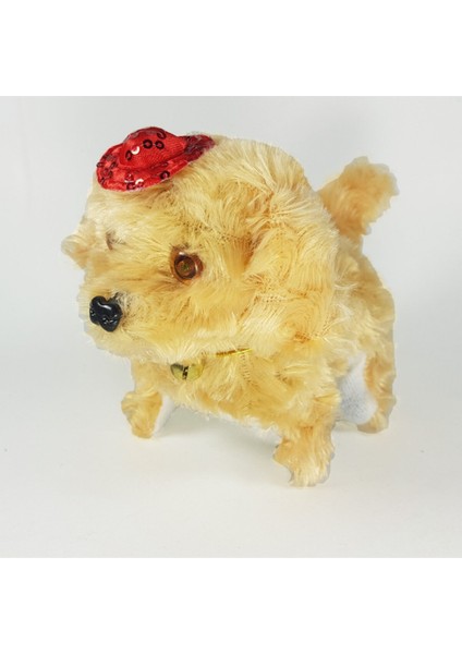 Pilli Köpek Mini