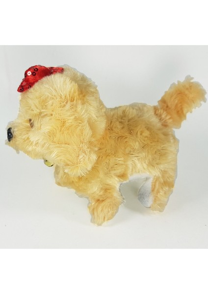 Pilli Köpek Mini