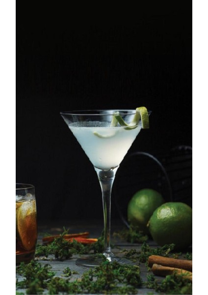 44410 Bistro Martini Kadehi,sunum Kadehi 12'li