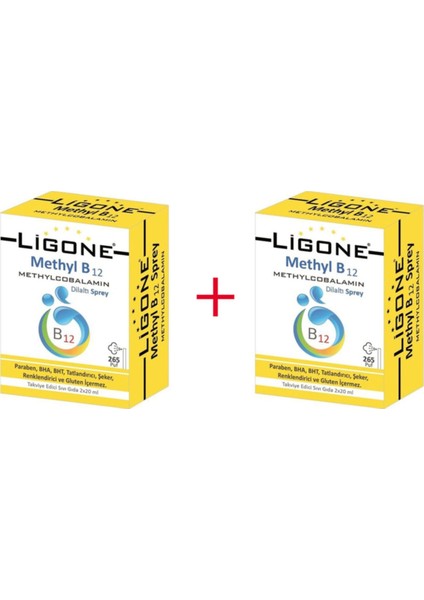 Methyl B12 Methylcobalamin Dilaltı Sprey 2 x 20 ml - 2 Adet