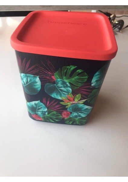 Kubik Mahola Saklama Kabı 1,8 Lt fiyatları
