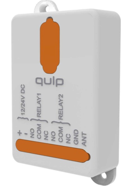 Qulp R1 12/24 Volt Kuru Kontak Alıcı Kart - 1 Kanal (868 Mhz)