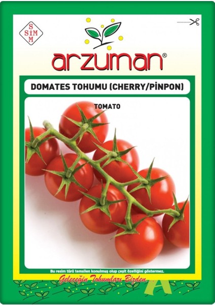 Cherry Domates Tohumu (PINPON)(250 Adet)