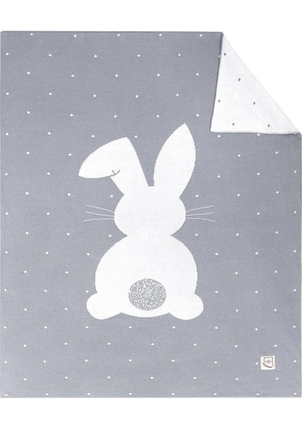 Bebek Battaniyesi Chinchilla fiyatları