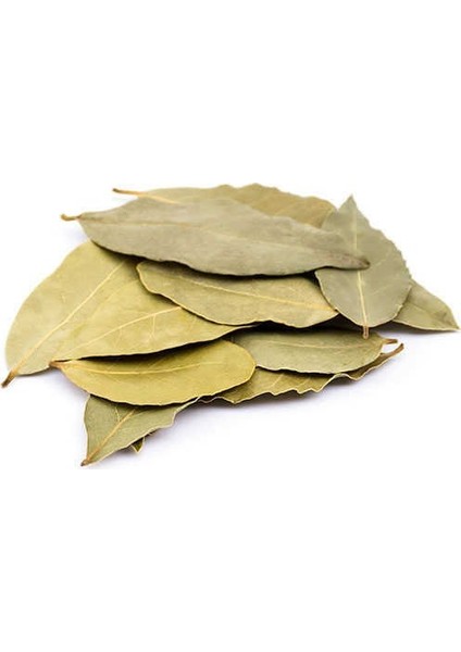 Defne Yaprağı 100 gr fiyatları