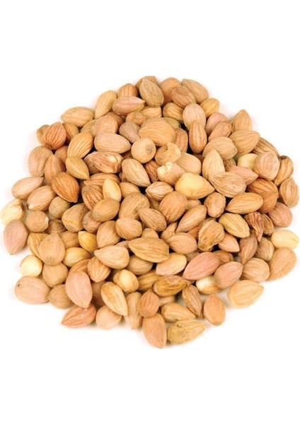 BenimAktar Mahlep Tane 250 gr