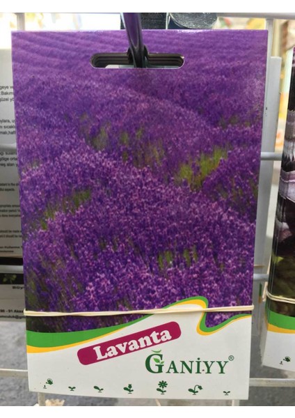 Lavanta Tohumu Güvenilir
