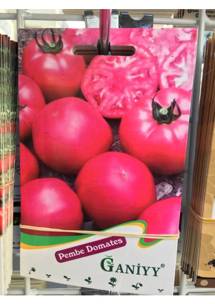 Pembe Domates Tohumu Güvenilir