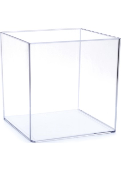 Betta Kabı Beta Fanusu 8 lt