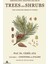 Trees And Shrubs - Cemil Ata 1