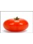 Ancon Domates Tohumu 10 gr Iri Domates-Bursa Tohum 2