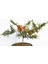 Bonsai Ateş Dikeni 2 Adet 3