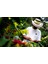 Horeca Blend Espresso 1 kg Çekirdek Taze Kavrulmuş 2