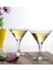 44410 Bistro Martini Kadehi,sunum Kadehi 12'li 2