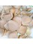 Deniz Kabuğu 500 gr Paket Arca Arca / Yerli 1