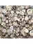 Deniz Kabuğu 500 gr Paket Sea Nerıta 1