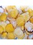 Deniz Kabuğu 500 gr Paket Vıxıllıum Orange 1