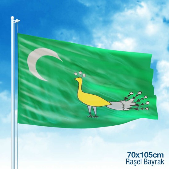 Asilmeydan Gazneliler Gazne Devleti Bayrağı 17 Eski Türk Devleti Bayrağı 70 x 105 cm