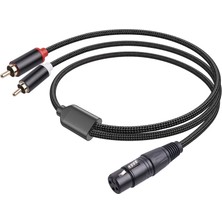 Gorgeous Pin Xlr Dişi - Çift Rca Erkek Y Splitter Kablosu, 1 Metre (Yurt Dışından)