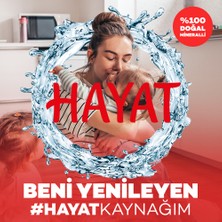 Hayat Disney Frozen & Mickey Maskot Su 4x330 ML (Karakter Seçimi Yapılamamaktadır)