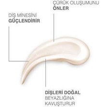 Dk Dent Dkdent Vegan Nane Özlü Florürsüz Diş Macunu 75 Ml Diş Fırçası Li