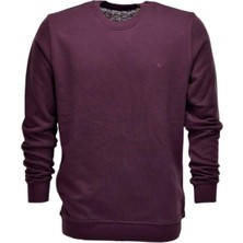 Raymons Erkek Spor Sıfır Yaka Sweatshirt R2247 BGL-ST03188