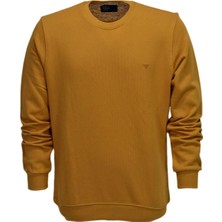 Raymons Erkek Spor Sıfır Yaka Sweatshirt R2247 BGL-ST03188