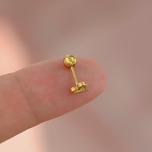 Heppii Gold Çelik Kalp Model Helix Piercing