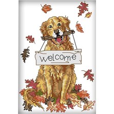 Burake Dıy Damgalı Ş Dıy Iğne Noktası 22X33CM 11CT (Yurt Dışından)