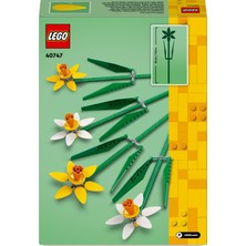 LEGO® Iconic Nergis 40747- Dekoratif, Koleksiyonluk ve Sergilenebilir Çiçek Modeli Yapım Seti (216 Parça)