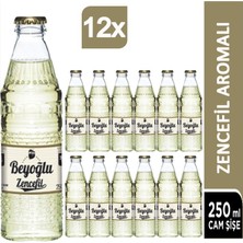 Beyoğlu Zencefilli Gazoz 12 x 250 ml