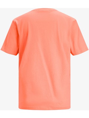 Jjxx Jxanna Kadın Turuncu T-Shirt 12206974-PEACHECHO