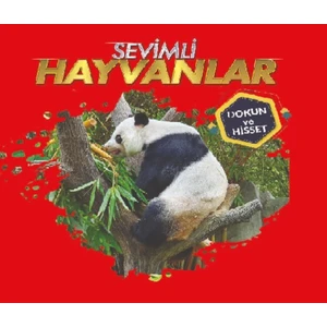 0-6 Yaş Yayınları Hayvanlar - Dokun ve Hisset